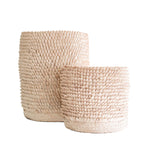 Afrikansk pinnsvinkurv