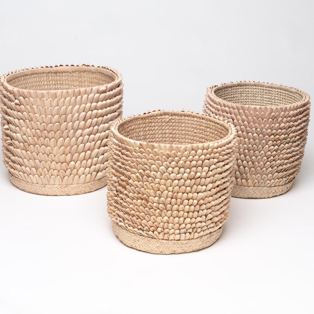 Afrikansk pinnsvinkurv