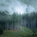 Resilience I