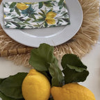 Spisebrikke med frynsekant i natur