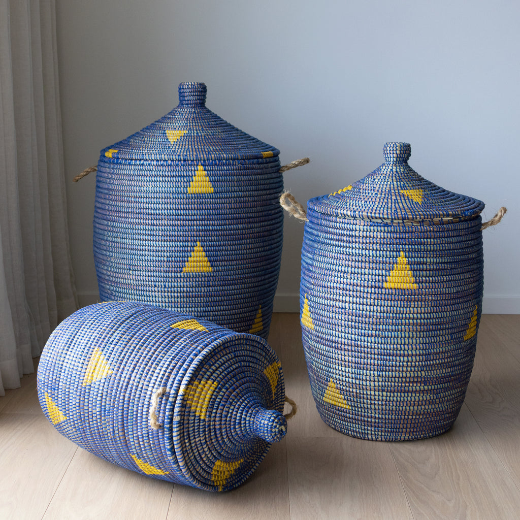 Savannenkurv - Blå og gul