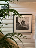 "The Crown Prince" 98x98