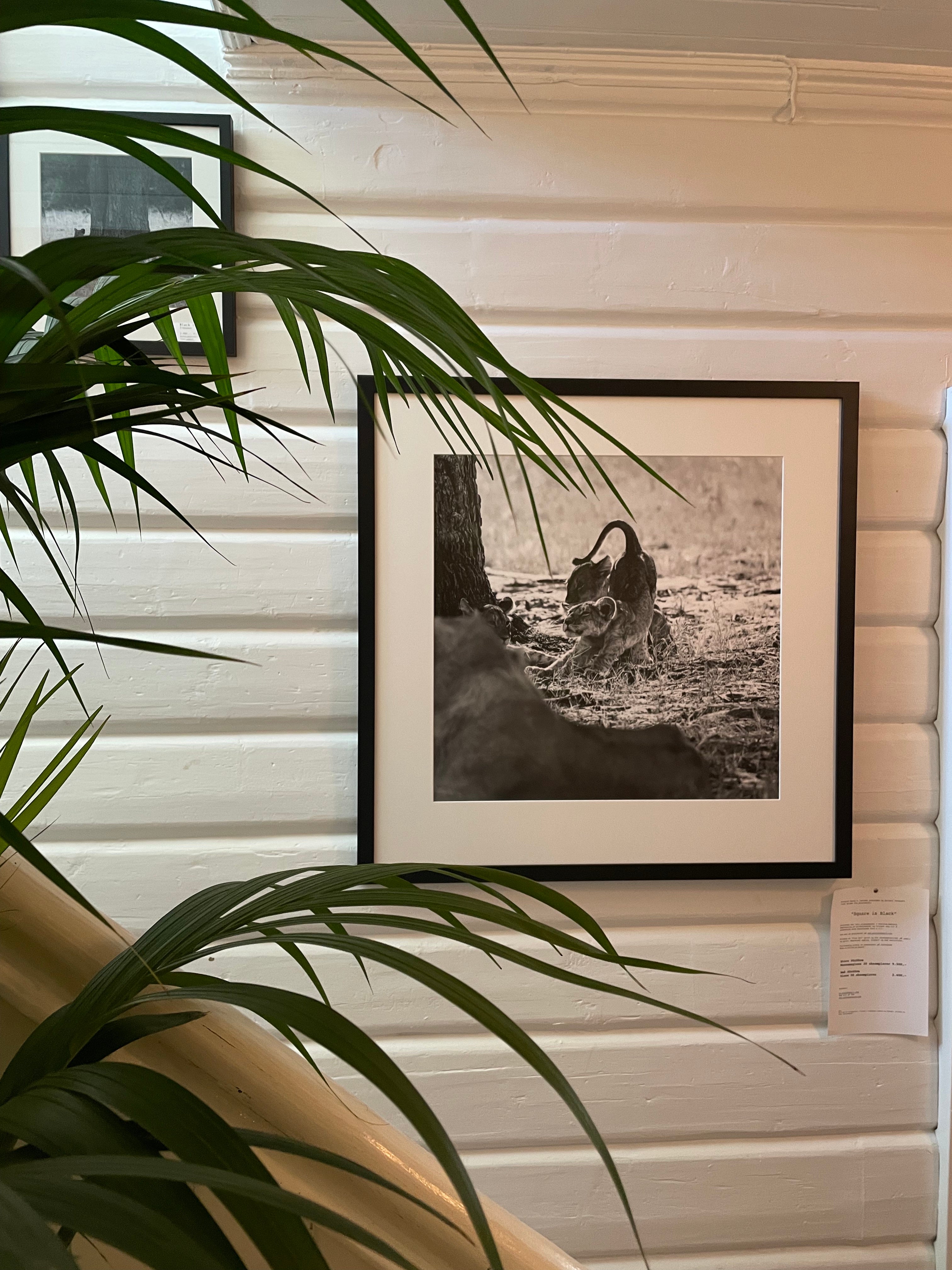 "The Crown Prince" 98x98