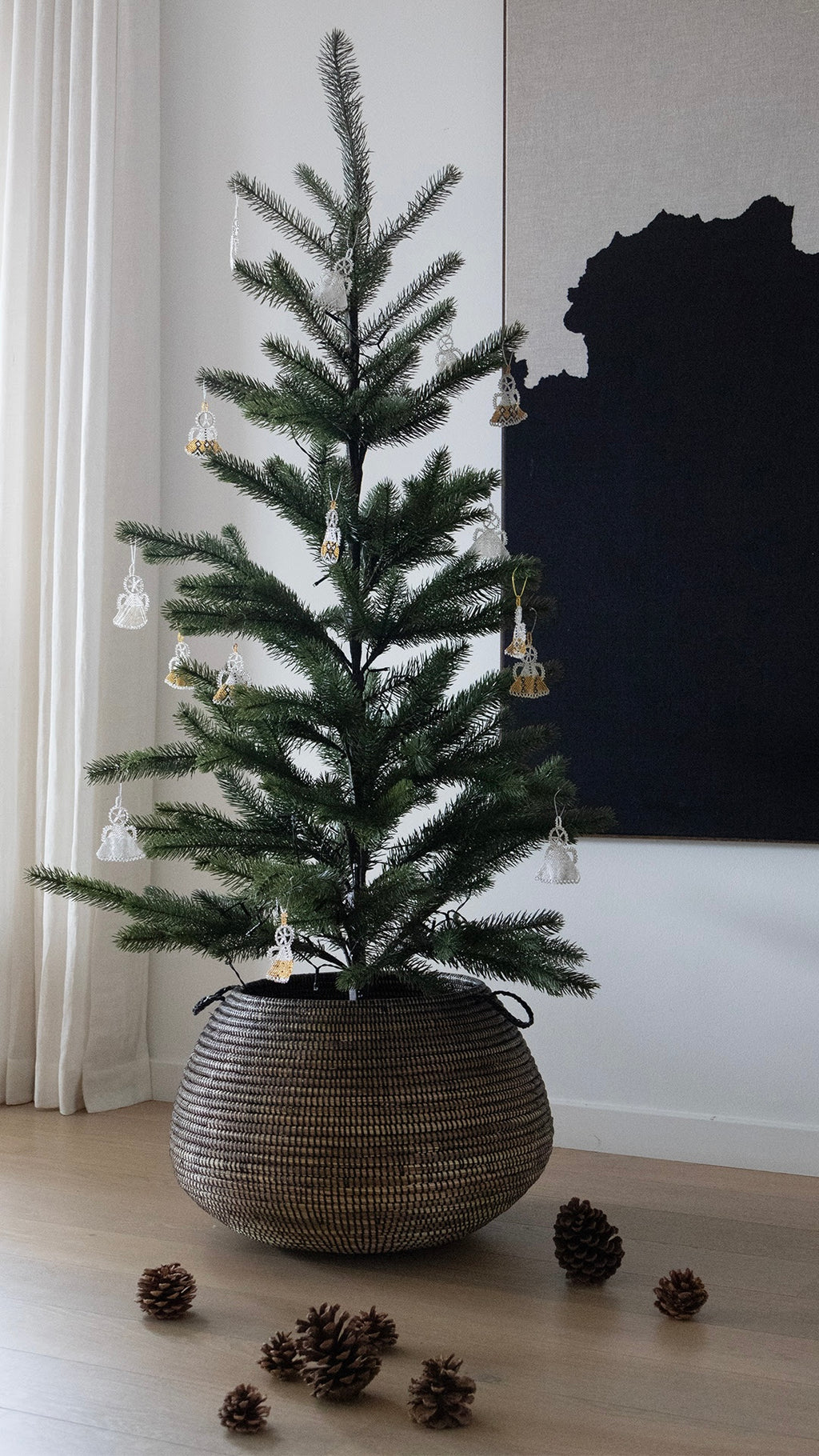 Alibabakurv fra Senegal M