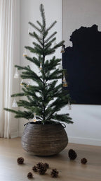 Alibabakurv fra Senegal M