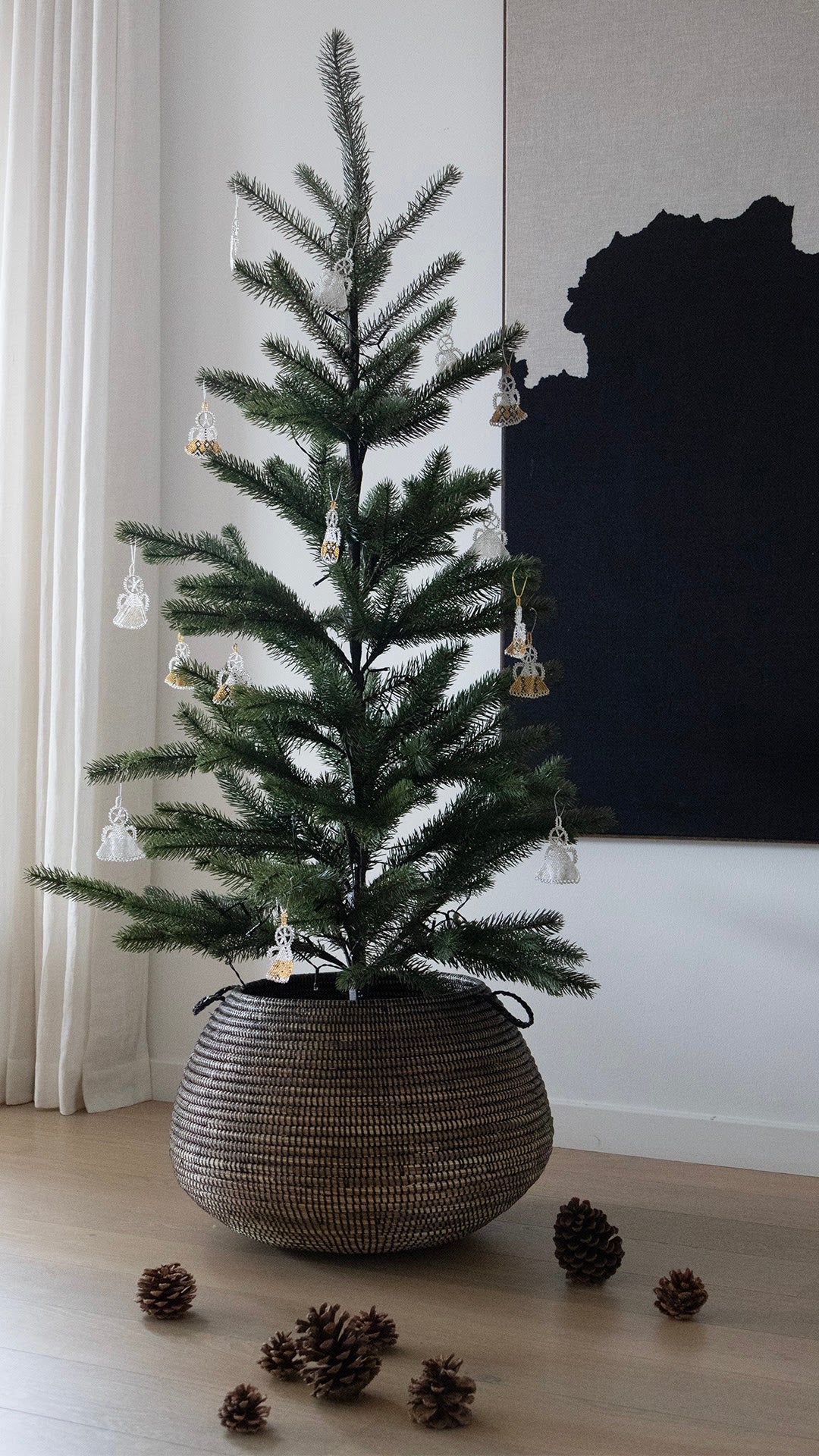 Alibabakurv fra Senegal M