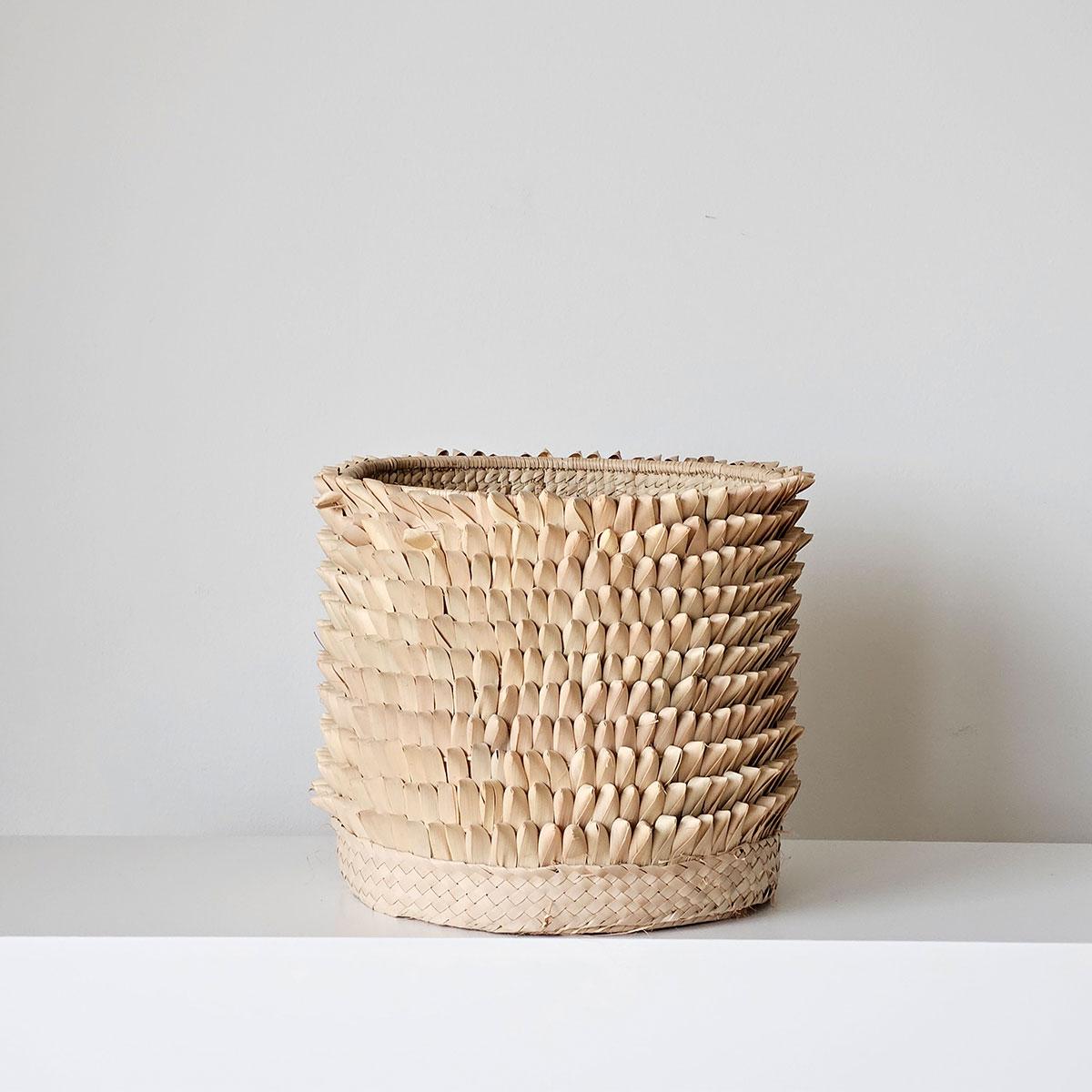 Afrikansk pinnsvinkurv