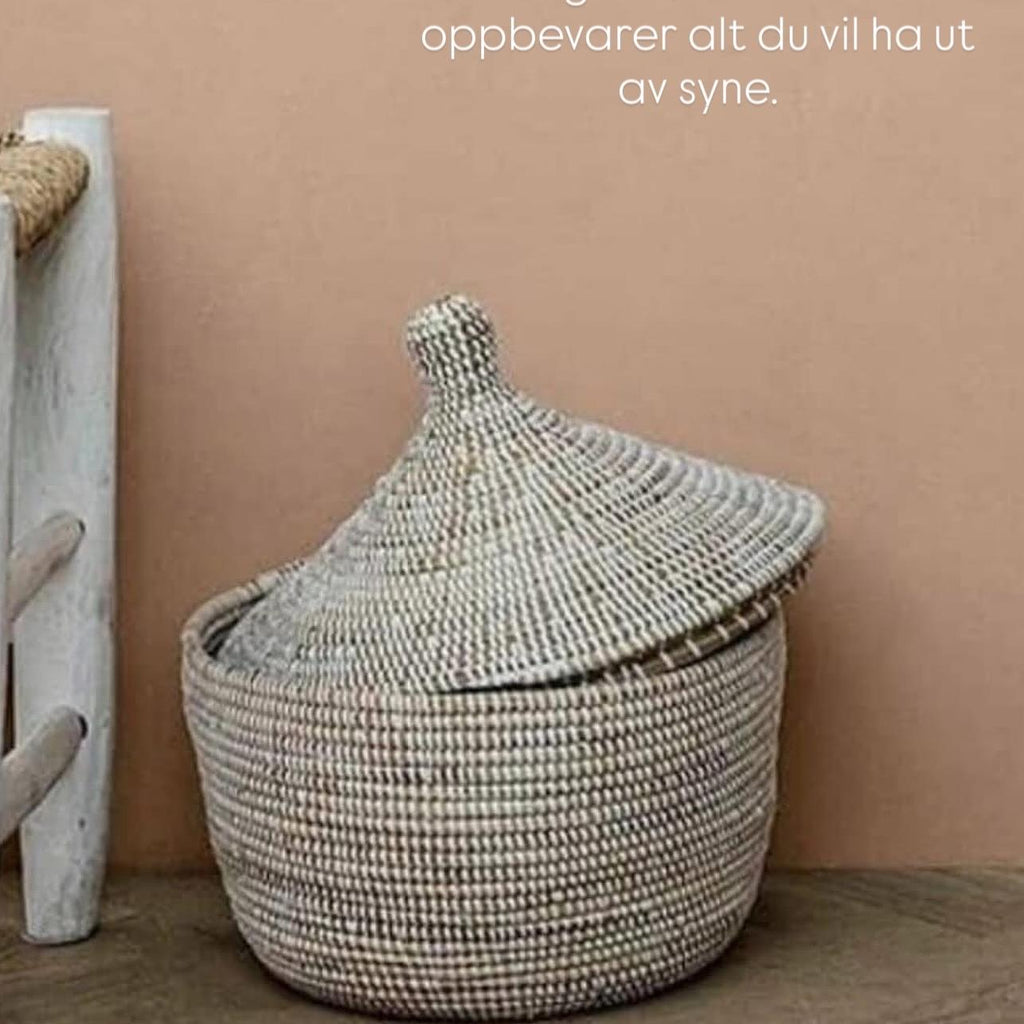 Savannenkurv liten - Hvit natur