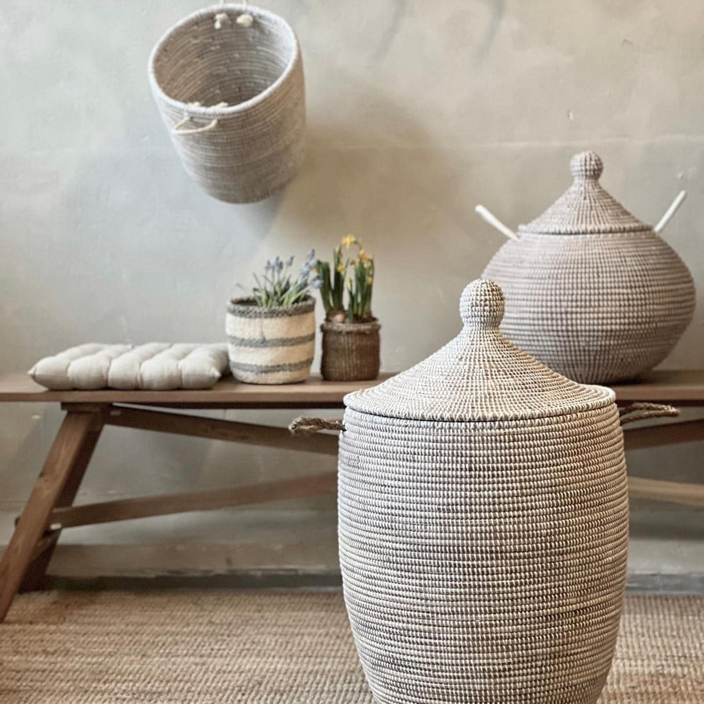 Savannenkurv - Hvit natur