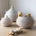 Alibabakurv fra Senegal S