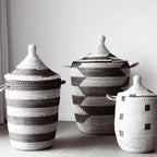 Savannenkurv -  Hvit og sort