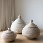 Alibabakurv fra Senegal S