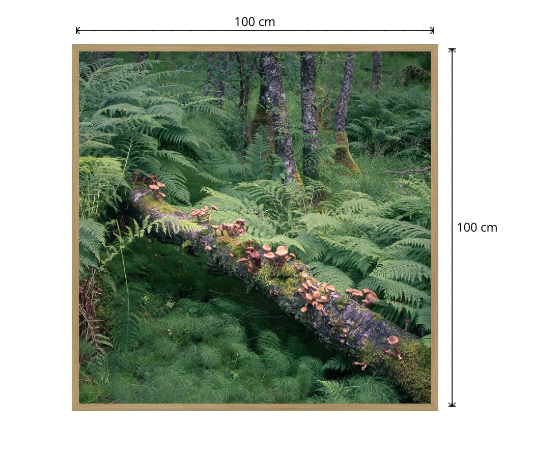 Modstandsdygtighed III