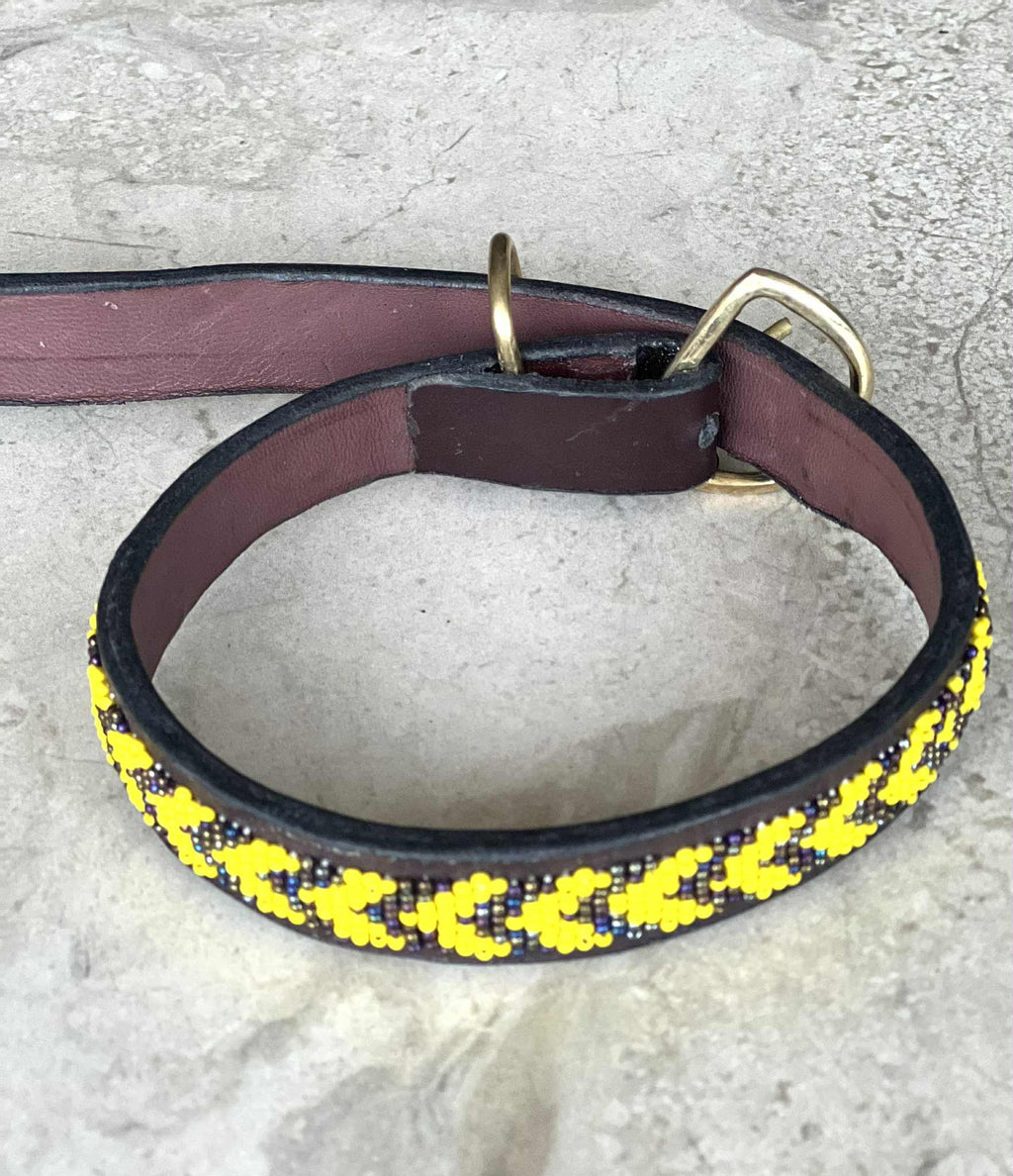 Hundehalsbånd S/M