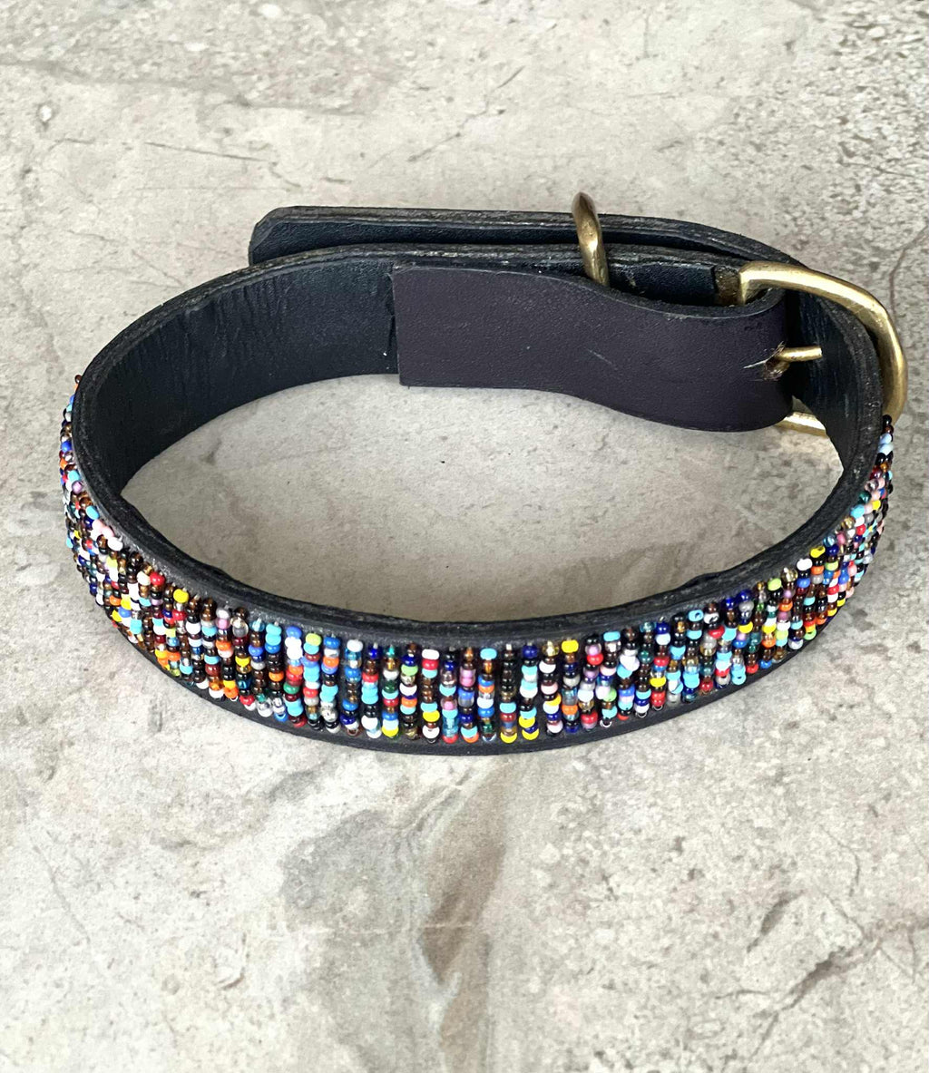Hundehalsbånd S/M
