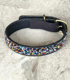 Hundehalsbånd S/M