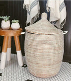 Savannenkurv - Liten hvit natur