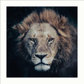 «The King» kunstfoto i sort-hvitt