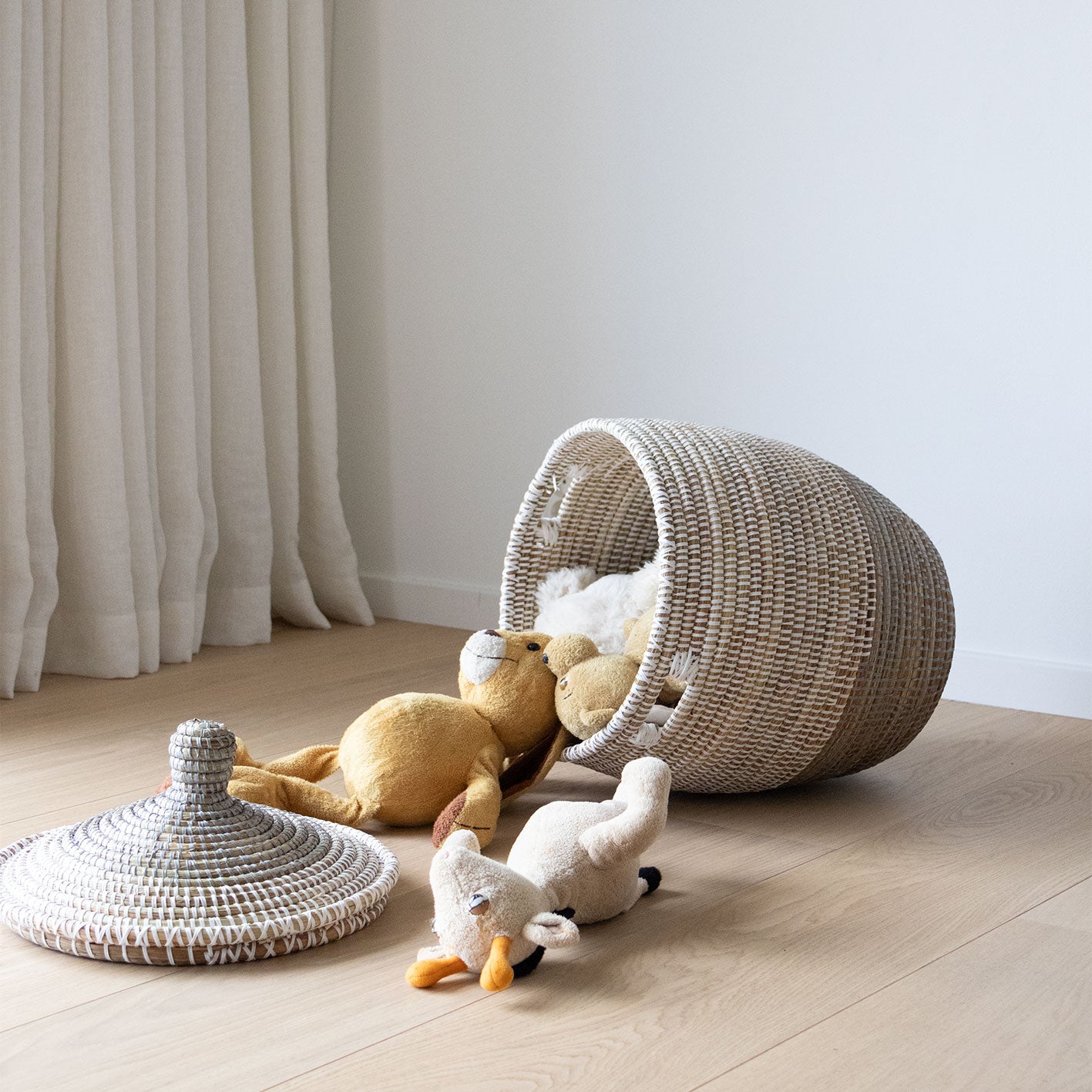 Savannenkurv - Hvit og grå