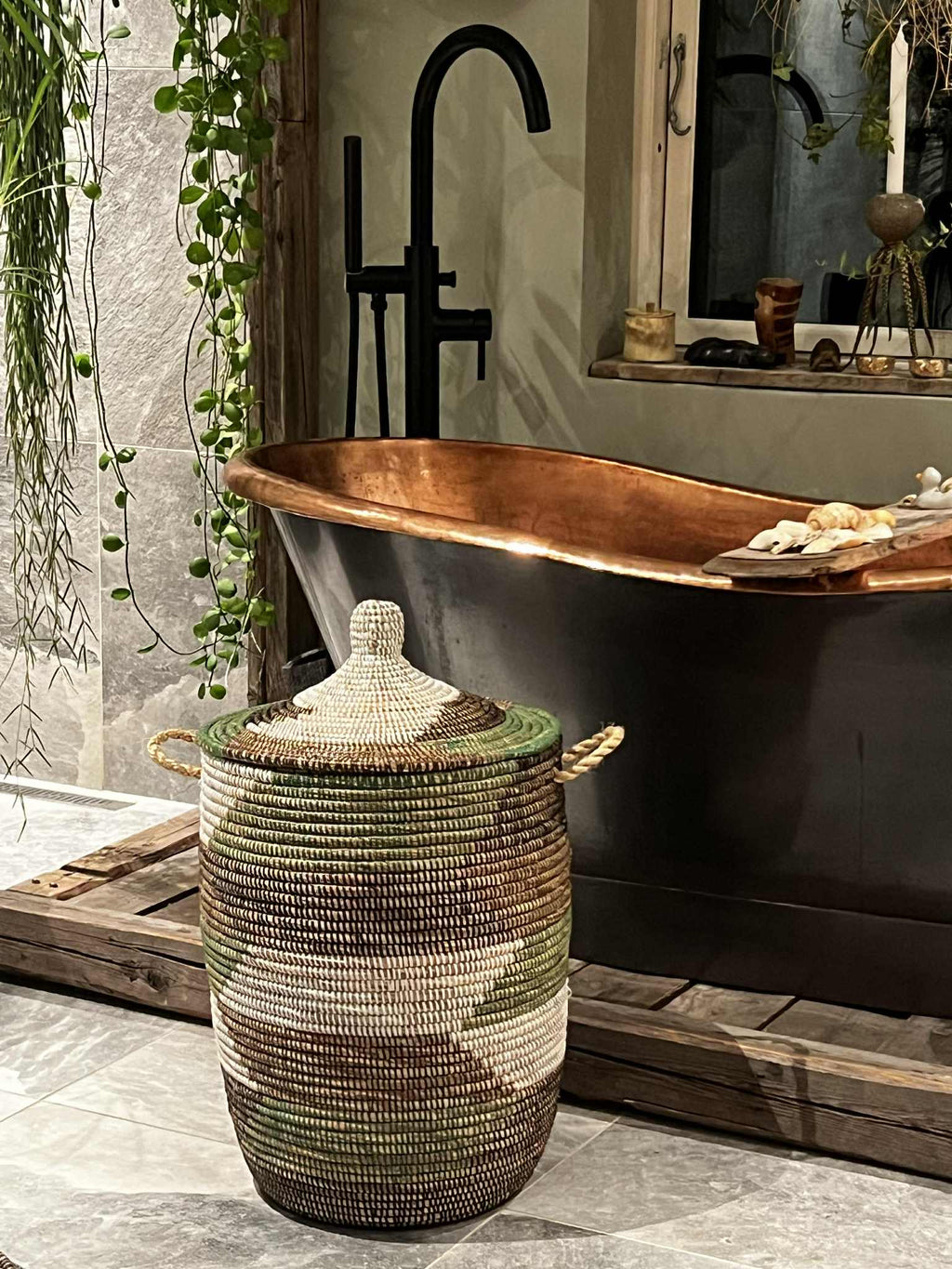 Savannenkurv - Hvit, grønn og sortbrun