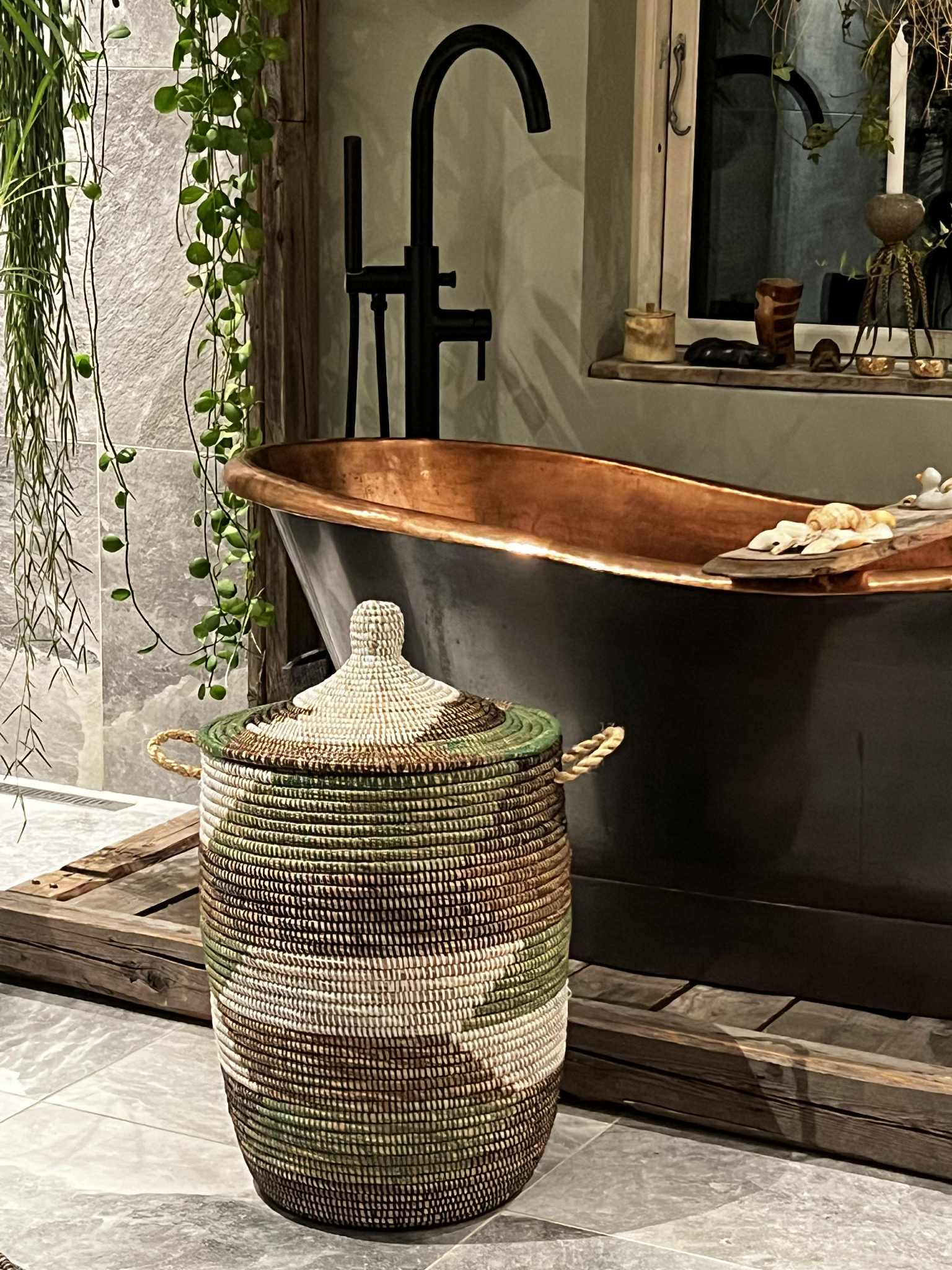 Savannenkurv - Hvit, grønn og sortbrun