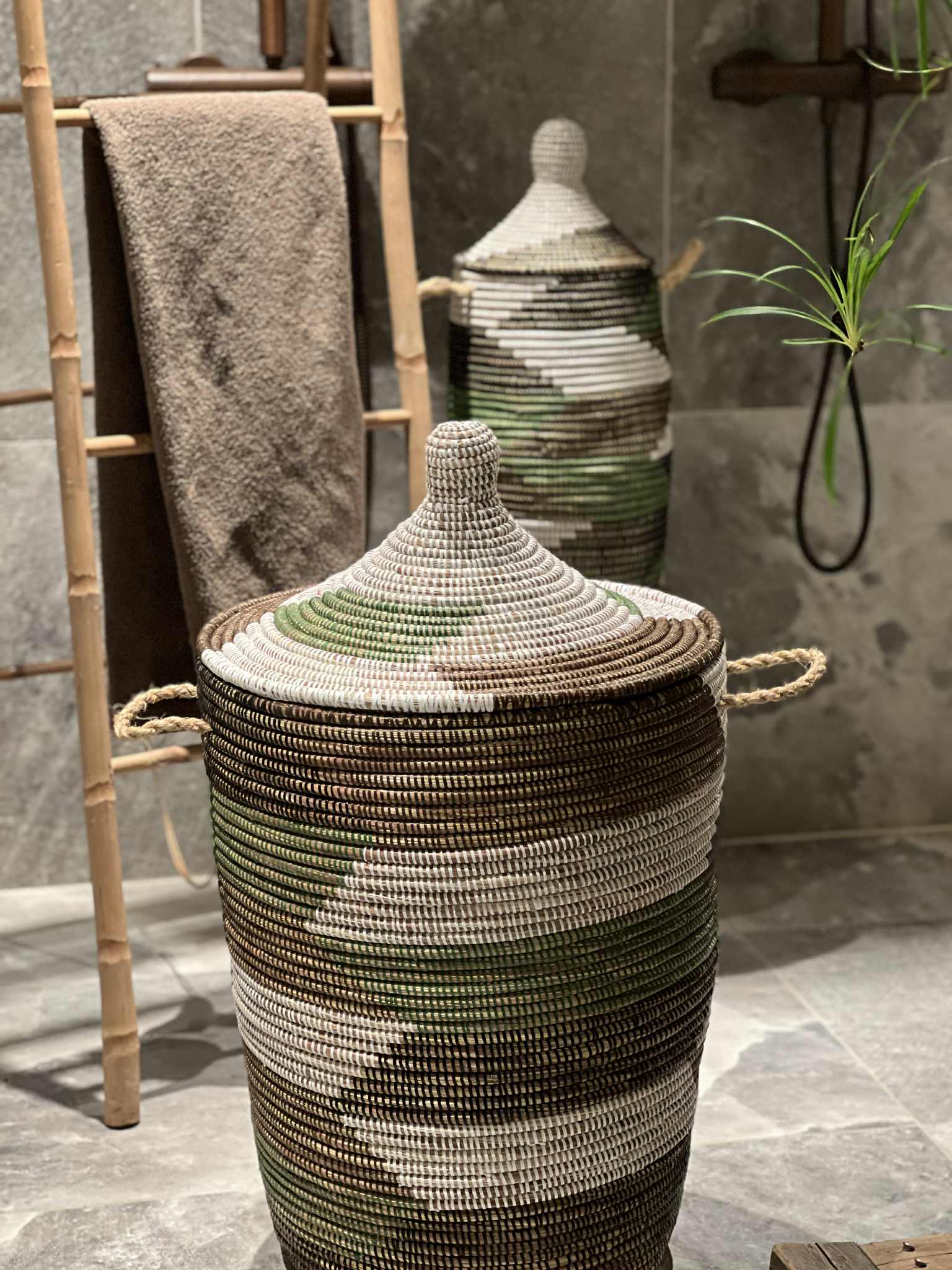 Savannenkurv - Hvit, grønn og sortbrun