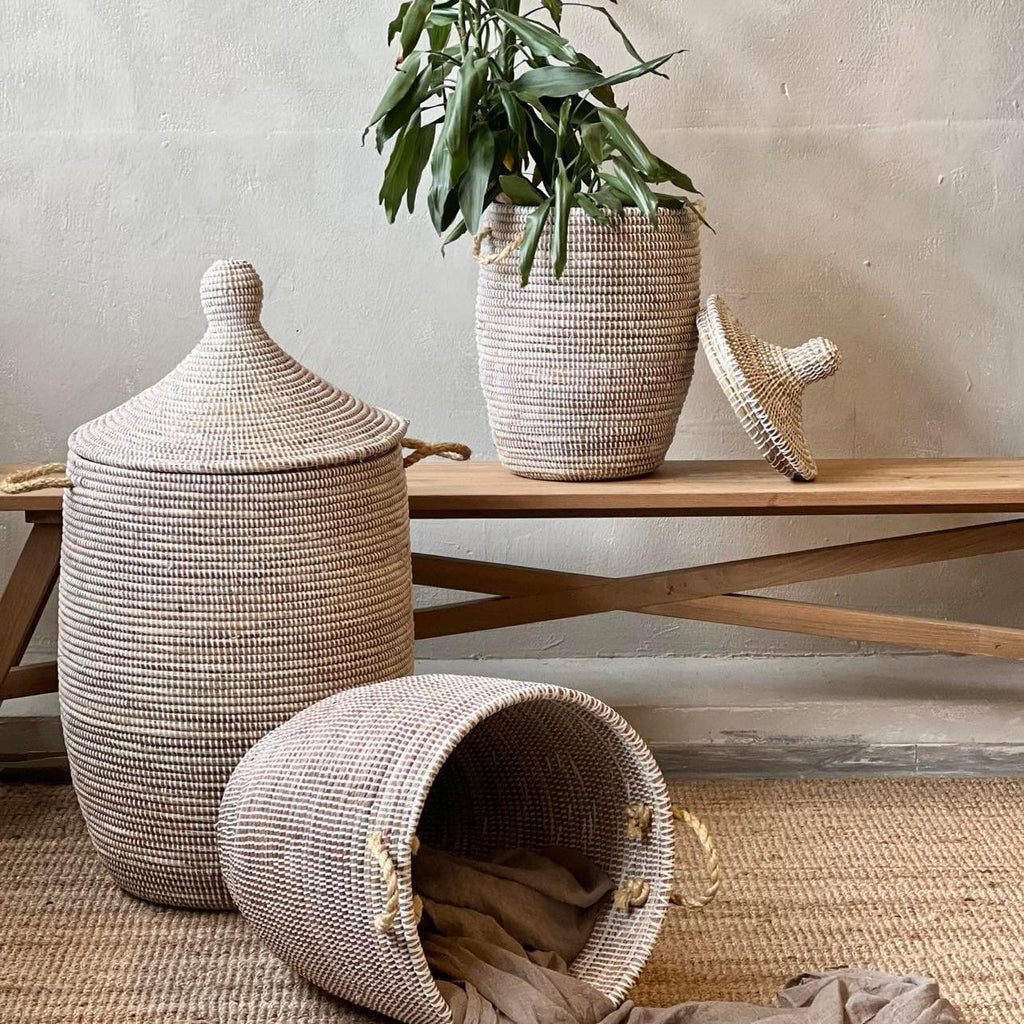 Savannenkurv - Hvit natur