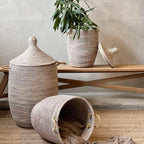 Savannenkurv - Hvit natur