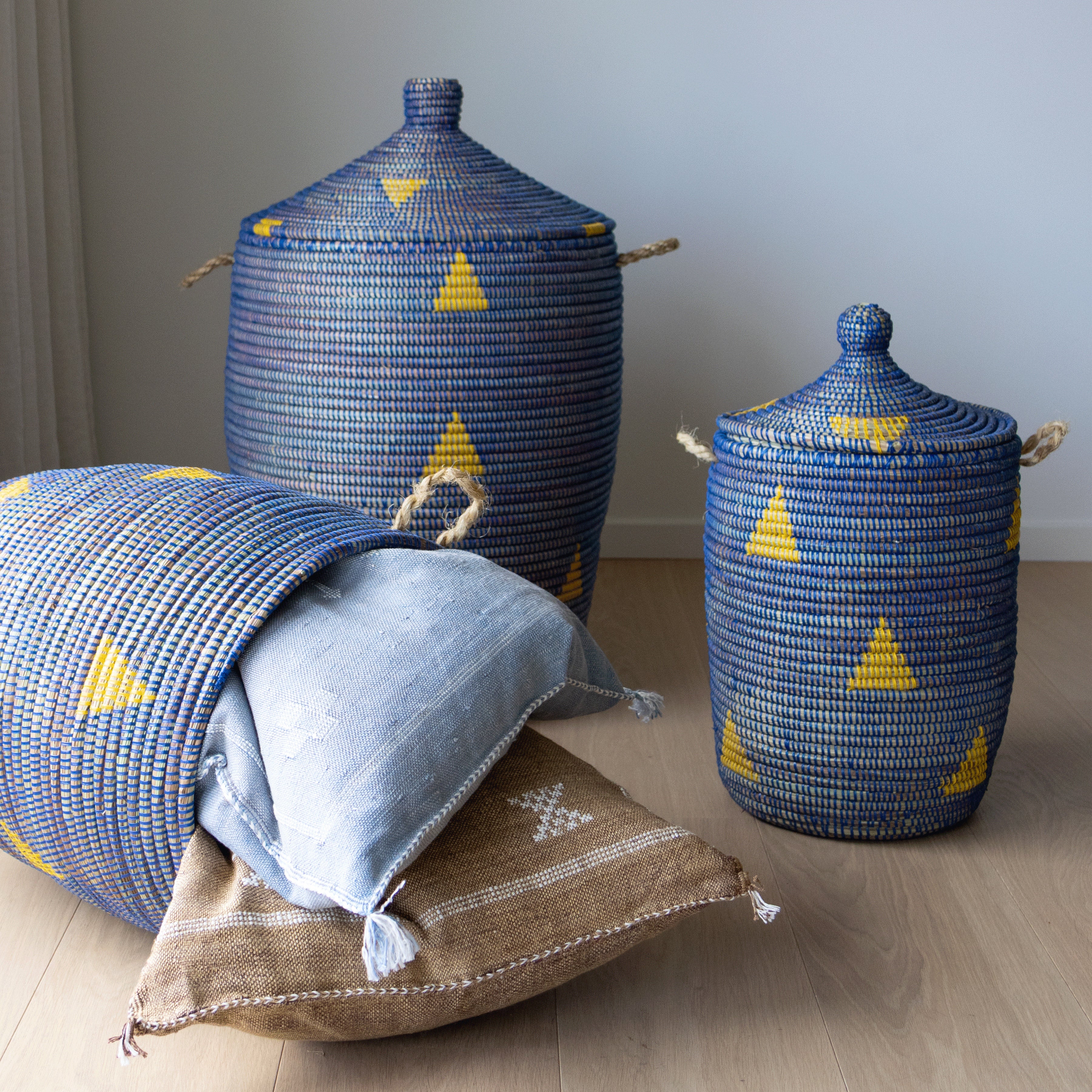 Savannenkurv - Blå og gul