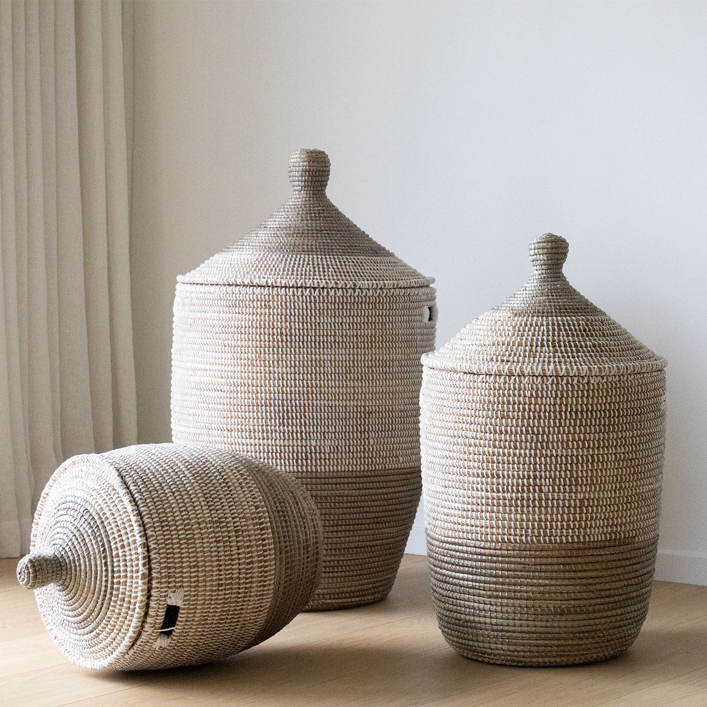 Savannenkurv - Hvit og grå