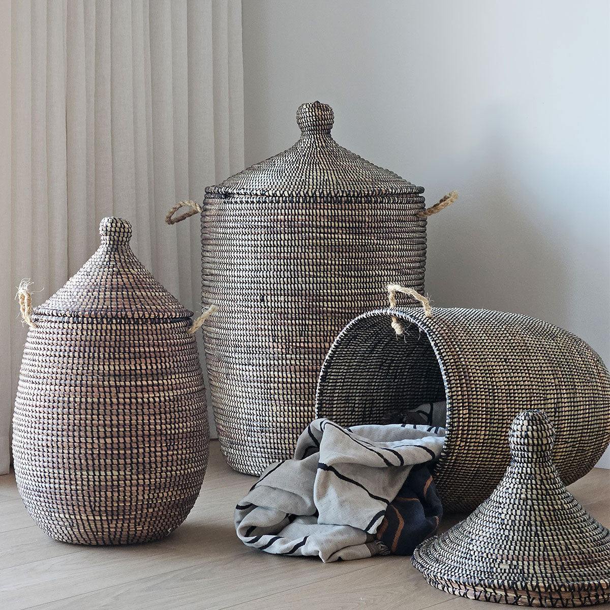 Savannenkurv - Brunsort