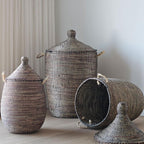 Savannenkurv - Brunsort