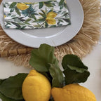 Spisebrikke med frynsekant i natur